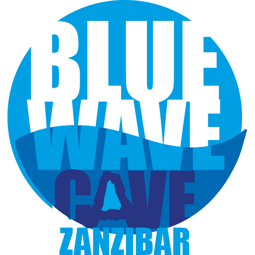 Logo BlueWaveCave